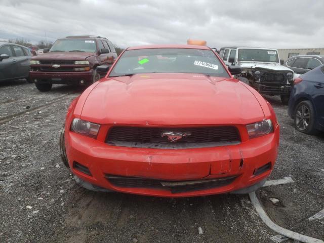 1ZVBP8AM5B5148989 - 2011 FORD MUSTANG RED photo 5