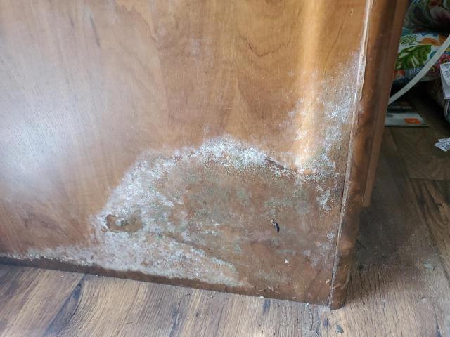 4YDT31823ET411931 - 2014 PASSPORT TRAVELTRLR İki rəngli foto 9