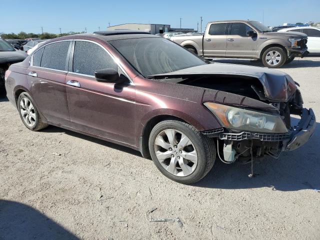 5KBCP3F83AB018424 - 2010 HONDA ACCORD EXL MAROON photo 4