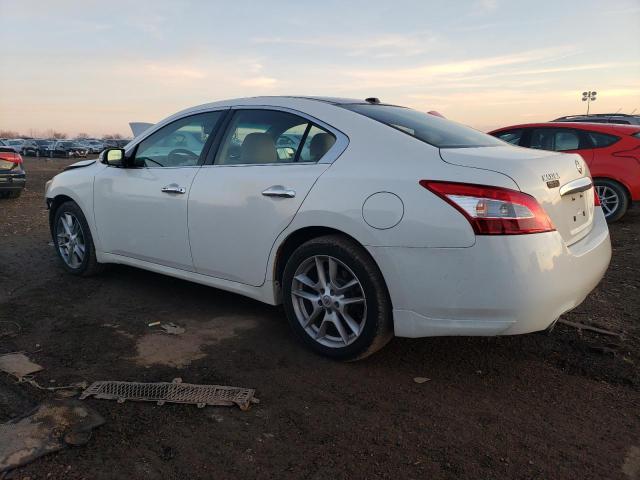 1N4AA5AP3BC862954 - 2011 NISSAN MAXIMA S WHITE photo 2