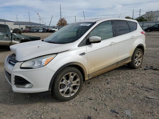 2013 FORD ESCAPE SEL, 