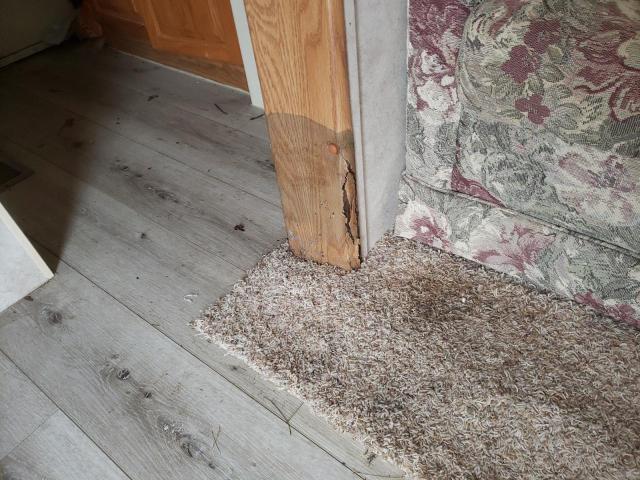 4YDT300254A212590 - 2004 KEYSTONE SPRINTER Ağ foto 9