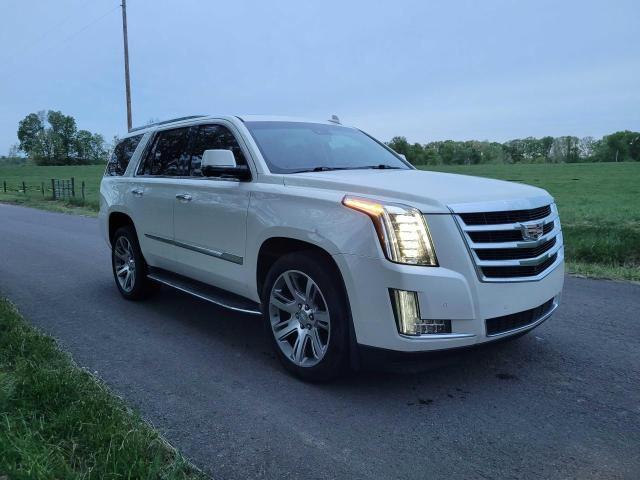 1GYS4MKJ0FR536259 - 2015 CADILLAC ESCALADE LUXURY WHITE photo 1