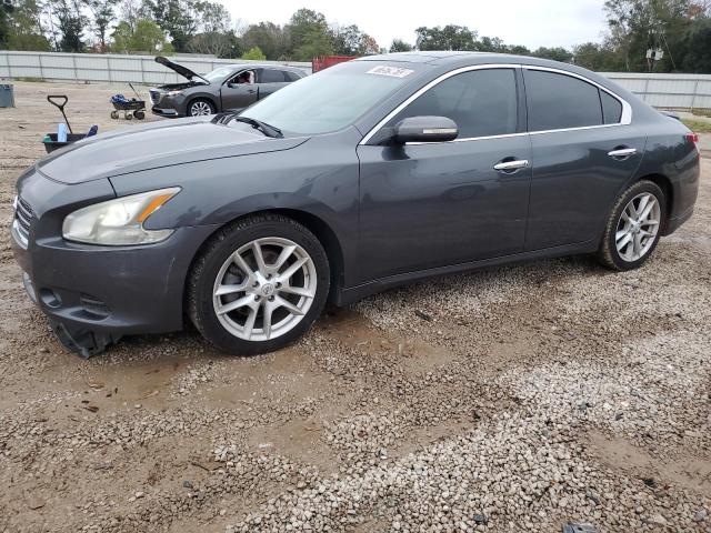 1N4AA5AP4BC813990 - 2011 NISSAN MAXIMA S GRAY photo 1