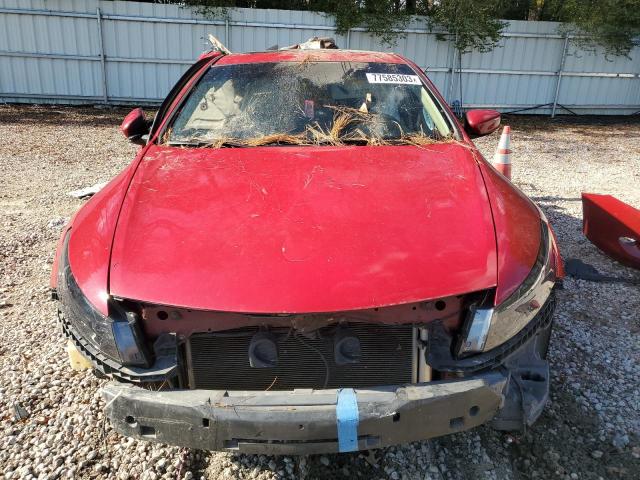 1HGCS22839A008057 - 2009 HONDA ACCORD EXL RED photo 5