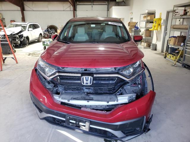 7FARW2H51LE002917 - 2020 HONDA CR-V EX RED photo 5