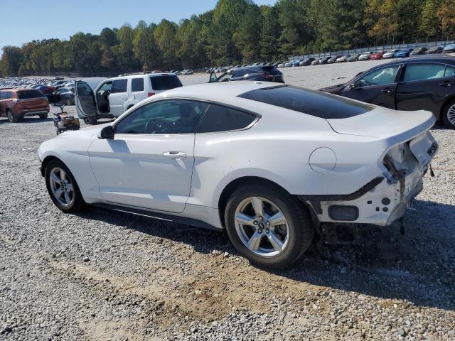 1FA6P8TH0K5166486 - 2019 FORD MUSTANG WHITE photo 2