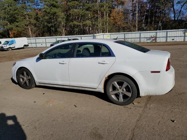 1G1ZC5E11BF129886 - 2011 CHEVROLET MALIBU 1LT WHITE photo 2