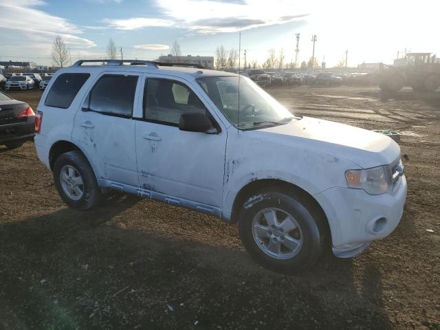 1FMCU9DG9BKB56005 - 2011 FORD ESCAPE XLT WHITE photo 4