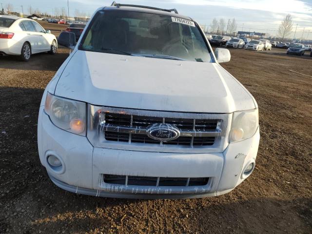 1FMCU9DG9BKB56005 - 2011 FORD ESCAPE XLT WHITE photo 5