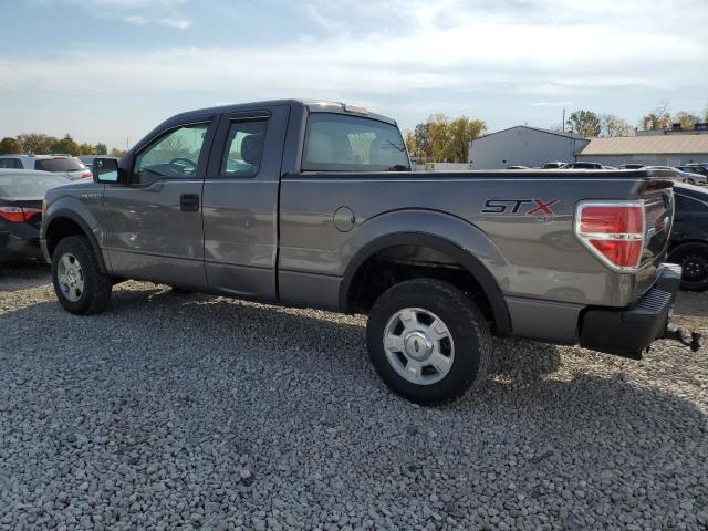 1FTEX1EM9EFC18798 - 2014 FORD F150 SUPER CAB GRAY photo 2