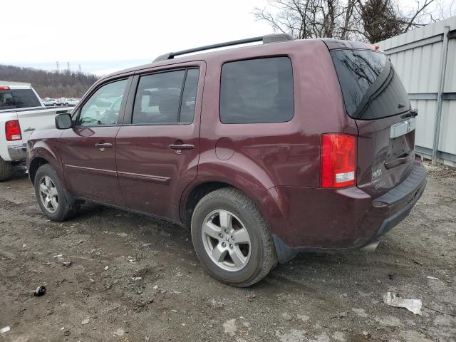 5FNYF4H46BB039602 - 2011 HONDA PILOT EX BURGUNDY photo 2