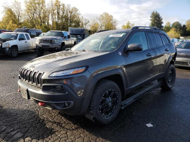 1C4PJMBS1HD237067 - 2017 JEEP CHEROKEE TRAILHAWK GRAY photo 1