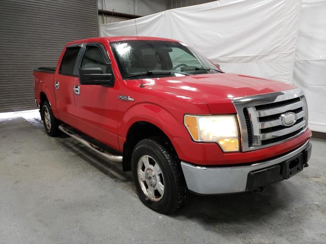 1FTRW14839FA05411 - 2009 FORD F150 SUPERCREW RED photo 4