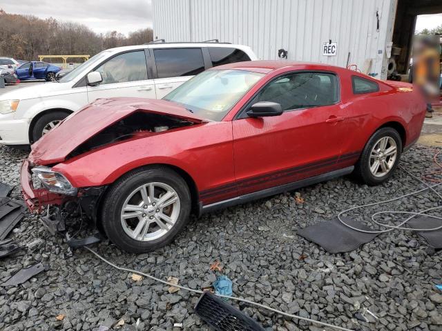 1ZVBP8AM4C5264203 - 2012 FORD MUSTANG RED photo 1