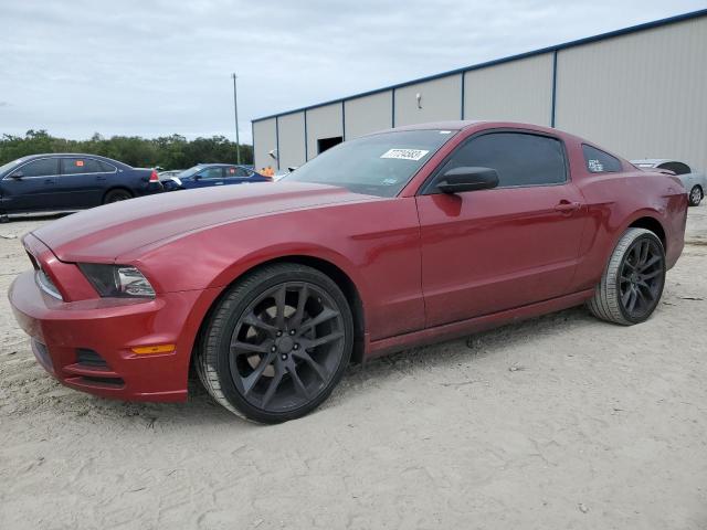 1ZVBP8AM8E5246810 - 2014 FORD MUSTANG BURGUNDY photo 1