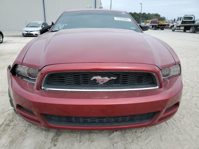 1ZVBP8AM8E5246810 - 2014 FORD MUSTANG BURGUNDY photo 5