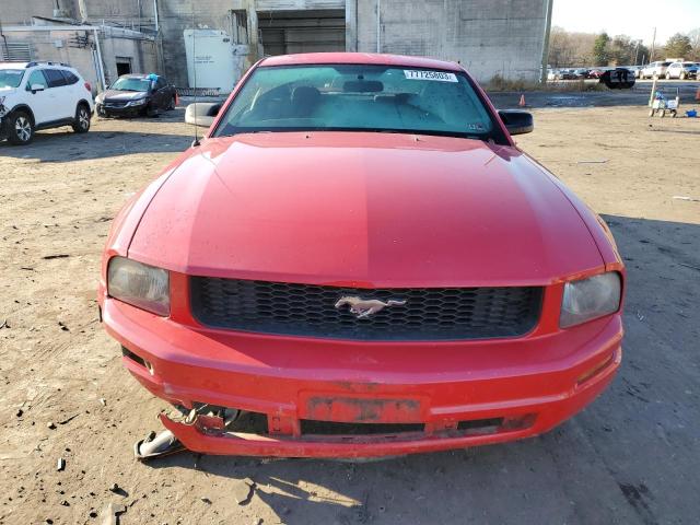 1ZVFT80N255233719 - 2005 FORD MUSTANG RED photo 5