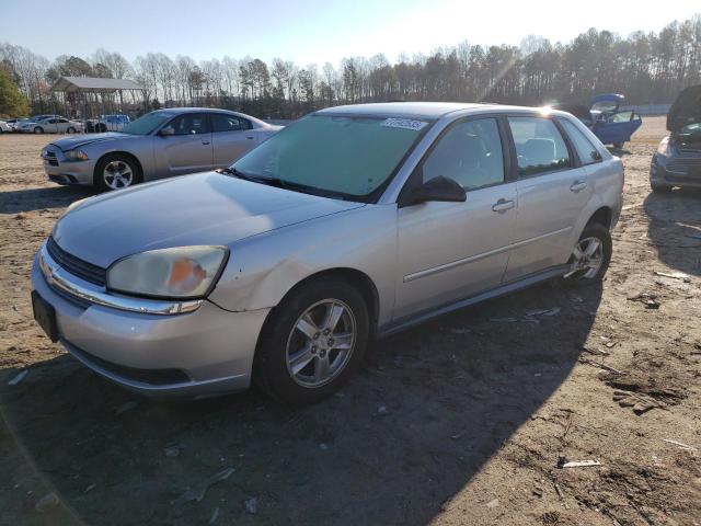 1G1ZT64854F241422 - 2004 CHEVROLET MALIBU MAXX LS SILVER photo 1