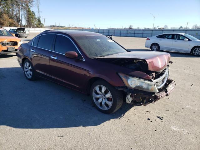 1HGCP36829A051015 - 2009 HONDA ACCORD EXL BURGUNDY photo 4