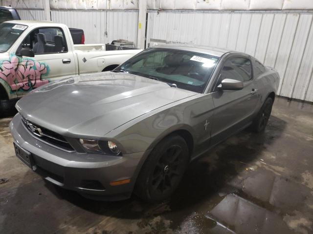 1ZVHP8AN9A5126205 - 2010 FORD MUSTANG GRAY photo 1