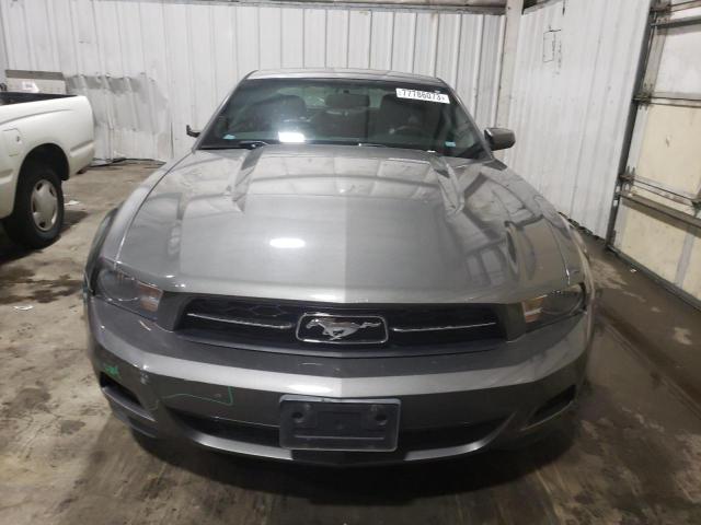 1ZVHP8AN9A5126205 - 2010 FORD MUSTANG GRAY photo 5