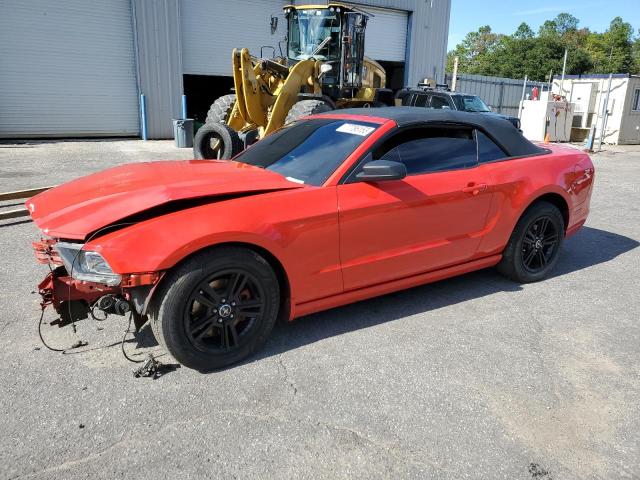 1ZVBP8EM6D5234308 - 2013 FORD MUSTANG RED photo 1