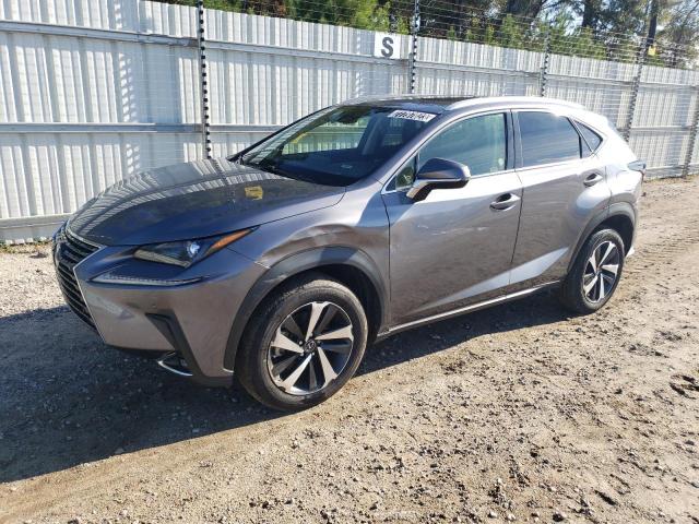 JTJGARDZ6M2241853 - 2021 LEXUS NX 300 BASE 灰色 照片 1