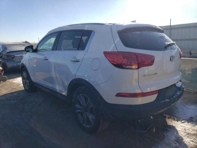 KNDPCCA62E7566959 - 2014 KIA SPORTAGE SX WHITE photo 2