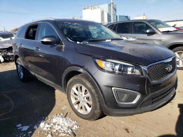 5XYPG4A38HG254877 - 2017 KIA SORENTO LX GRAY photo 4