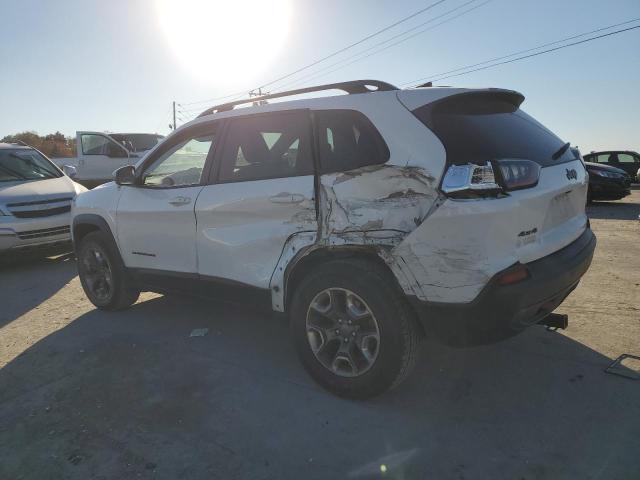 1C4PJMBX6KD288521 - 2019 JEEP CHEROKEE TRAILHAWK WHITE photo 2