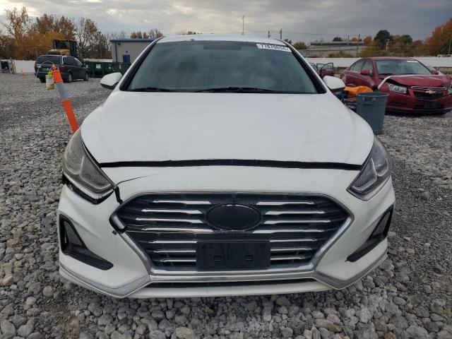 5NPE24AF8JH657644 - 2018 HYUNDAI SONATA SE WHITE photo 5