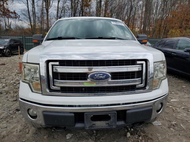 1FTFX1EFXDKF29183 - 2013 FORD F150 SUPER CAB WHITE photo 5