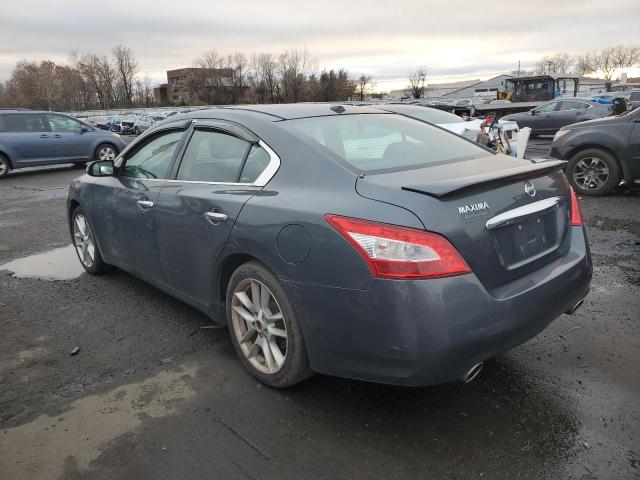 1N4AA5AP3BC805668 - 2011 NISSAN MAXIMA S GRAY photo 2