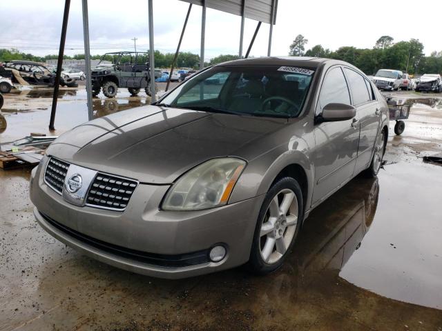 1N4BA41E34C917631 - 2004 NISSAN MAXIMA SE TAN photo 2