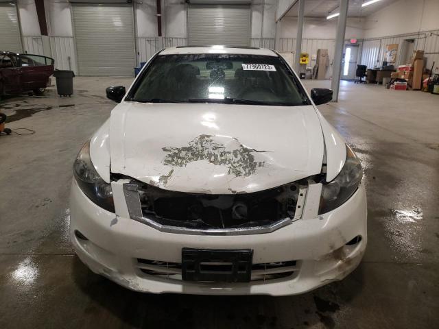 1HGCP36818A077300 - 2008 HONDA ACCORD EXL WHITE photo 5