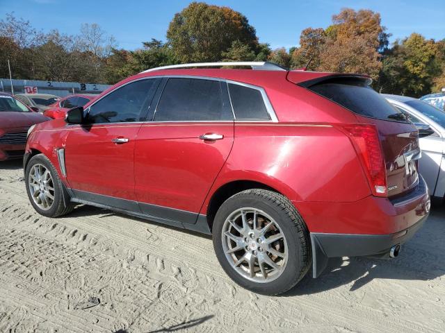 3GYFNDE33DS512821 - 2013 CADILLAC SRX PERFORMANCE COLLECTION Rouge photo 2