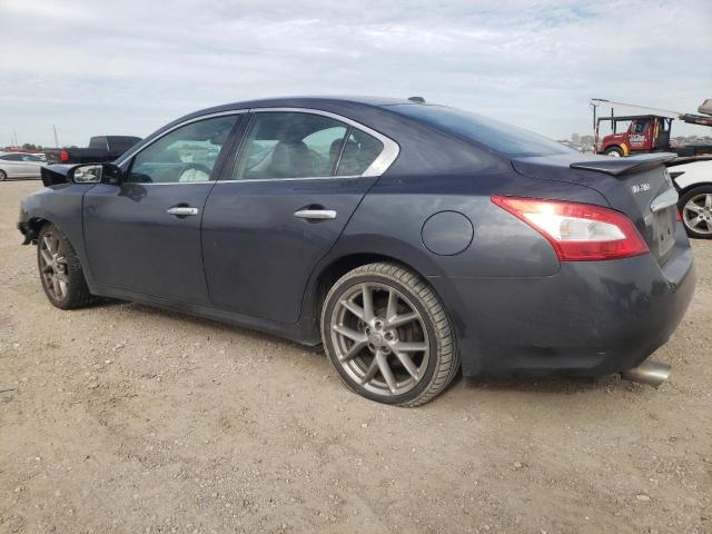 1N4AA5AP2AC837476 - 2010 NISSAN MAXIMA S GRAY photo 2