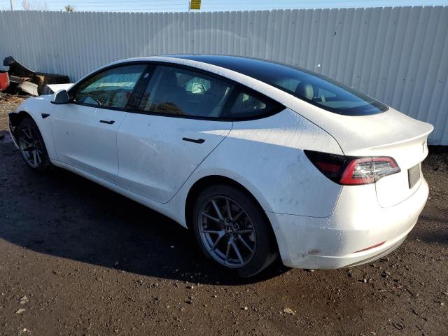 5YJ3E1EA8MF062825 - 2021 TESLA MODEL 3 WHITE photo 2