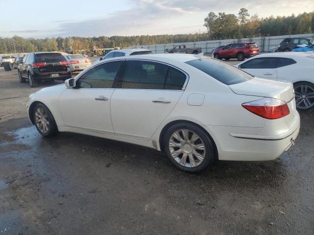 KMHGC46E19U043375 - 2009 HYUNDAI GENESIS 3.8L WHITE photo 2