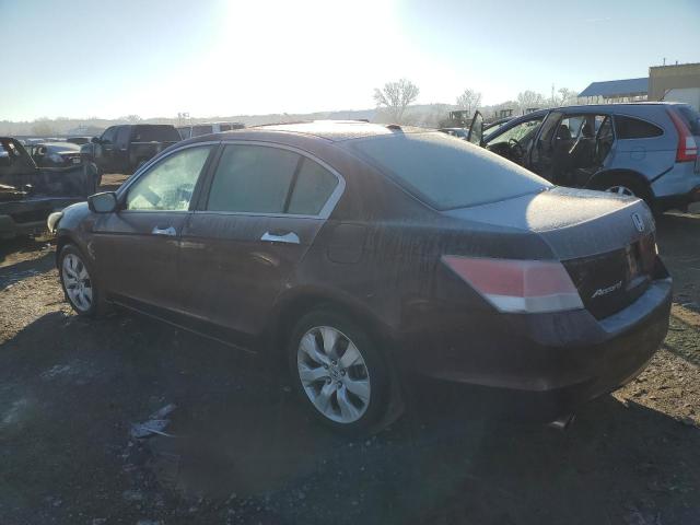 5KBCP3F81AB016333 - 2010 HONDA ACCORD EXL MAROON photo 2