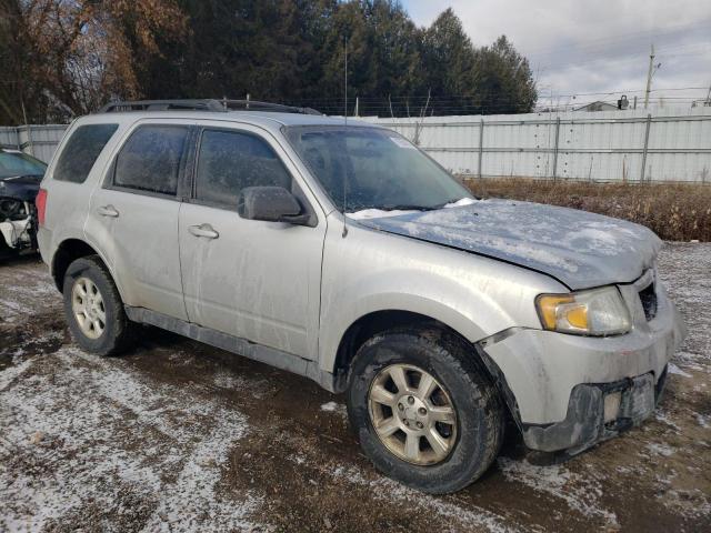 4F2CY0C78AKM03325 - 2010 MAZDA TRIBUTE I SILVER photo 4