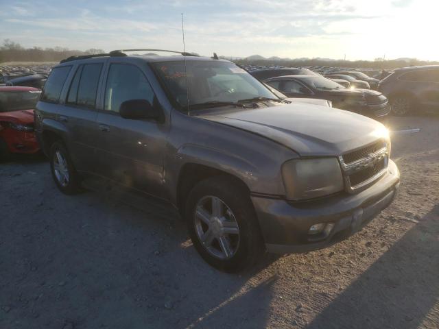 1GNDS13S882205927 - 2008 CHEVROLET TRAILBLAZE LS GRAY photo 4