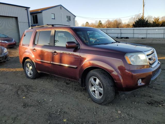 5FNYF4H54AB010509 - 2010 HONDA PILOT EXL BURGUNDY photo 4