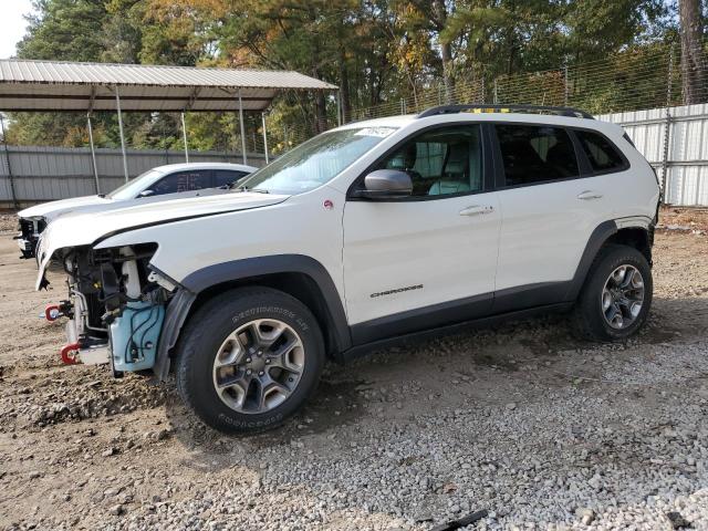 1C4PJMBX4KD229337 - 2019 JEEP CHEROKEE TRAILHAWK WHITE photo 1