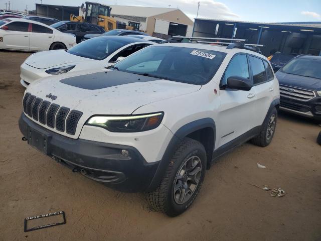 1C4PJMBXXLD523083 - 2020 JEEP CHEROKEE TRAILHAWK Ağ foto 1