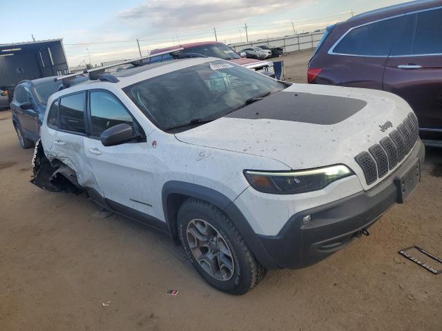 1C4PJMBXXLD523083 - 2020 JEEP CHEROKEE TRAILHAWK Ağ foto 4