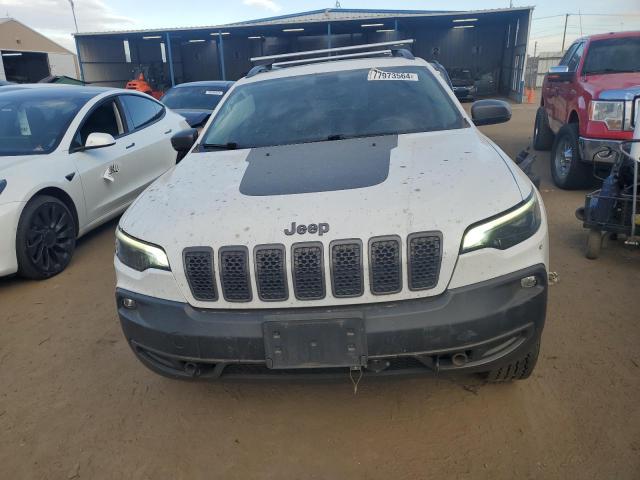 1C4PJMBXXLD523083 - 2020 JEEP CHEROKEE TRAILHAWK Ağ foto 5