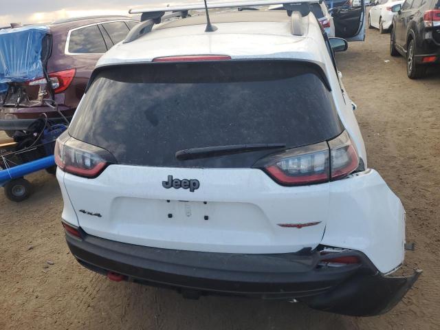 1C4PJMBXXLD523083 - 2020 JEEP CHEROKEE TRAILHAWK Ağ foto 6
