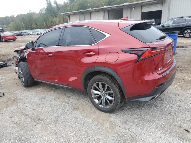 JTJYARBZ2K2156870 - 2019 LEXUS NX 300 BASE მუქწითელი ფოტო 2